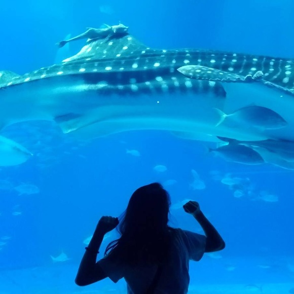 Meet your Posher, Em - Picture 2 of 4